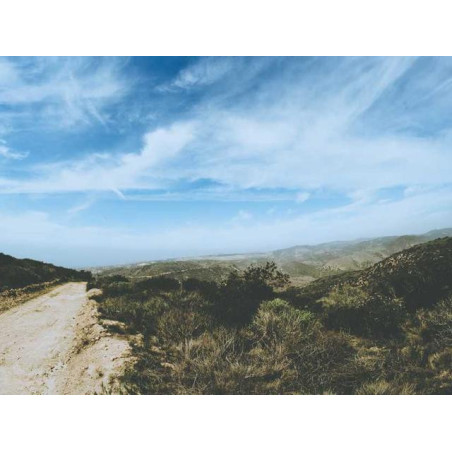 Practical Silk Watch fr-FR